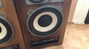 Колонки Амфитон 50ас-022