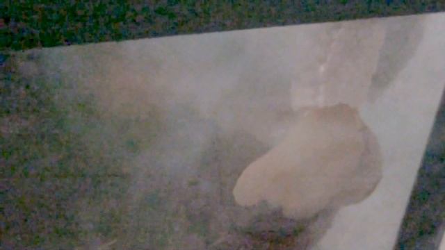 Подводный мир: улитка откладывает икру. уникальные кадры UNDERWATER: snail lays eggs. unique footag смотреть онлайн