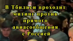 В Тбилиси проходит митинг против прямого авиасообщения с Россией