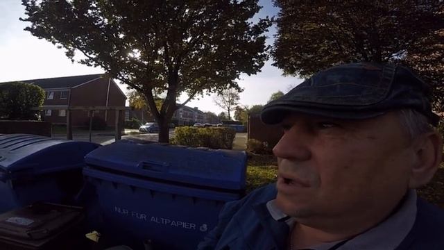 Самое красивое дерево Каштан