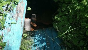 Источник Тагильский в окрестностях Каргополья