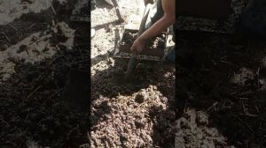 Брикеты из навоза,и что получилось