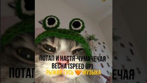Потап и Настя-чумачечая весна (speed up)🧡
