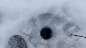 Как найти рыбу зимой на реке. Как поймать плотву в реке. На что лучше ловить рыбу. Зимняя рыбалка23