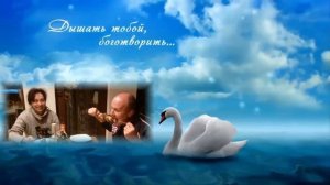 Жемчужная свадьба