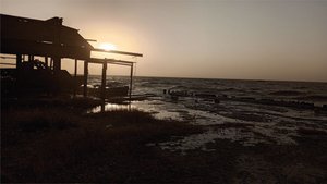 Рыбалка в п. Седово на Азовском море