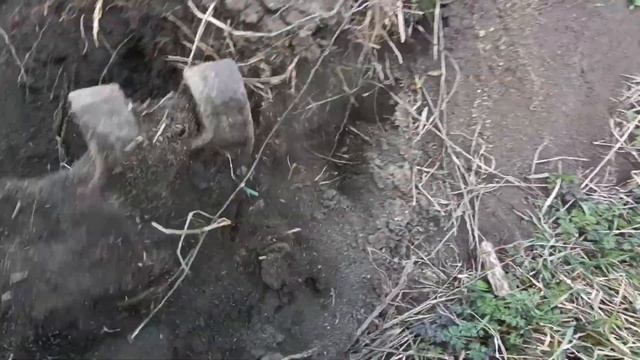 Как я зарабатываю копая железо.Мега находки с металлоискателем.Очень удачный выезд на коп.Металлоко смотреть онлайн