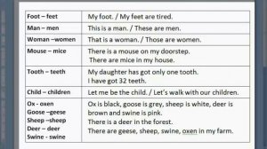 Урок 11.8 Образование множественного числа. Упражнения