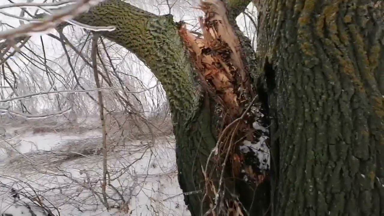 Дождь в 2 градуса мороза. Гололедица, неблагоприятная погода после дождя в зимнее время.