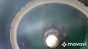Колеса на прицеп 2птс4/газ