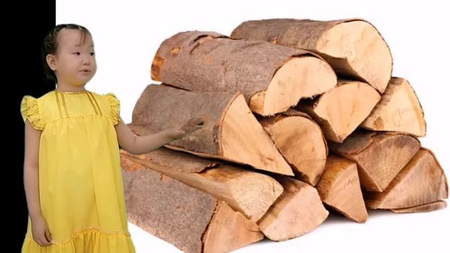 Егорова Дарина 7 лет Степан Дадаскинов хоһооно "Ийэбит сынньаннын" смотреть онлайн