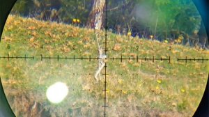 часть 2 ЕГЕРЬ КСПЗ ГОЛИАФ 6.35 , ОТСТРЕЛ на 20.0 ! совсем все не плохо, продолжаем работать)