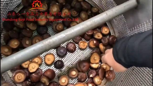 Vacuum Frying Machine For Mushroom Garlic Carrots Green Peppers смотреть онлайн