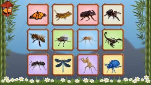 Карточки Домана - птицы,жуки для детей от 6 месяцев