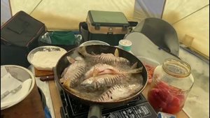 Вот это ЩУКА! Рыбалка в ХМАО. Ханты. ЖИВЕМ В ЗИМОВЬЕ, РЫБАЧИМ В ПАЛАТКЕ и на жерлицы.ЛИСА не боится