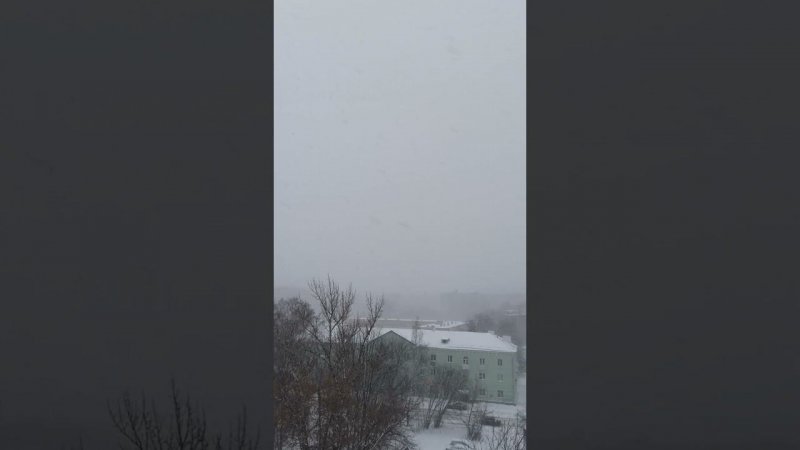 снегопад дошел до Рязани