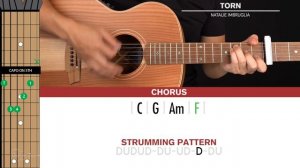 Torn Guitar Cover Natalie Imbruglia 🎸|Tabs + Chords|