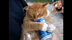 Мам я хочу быть как Джигана