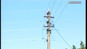 Отключенные от электричества садоводческие товарищества в Краснодаре стали возвращать долги