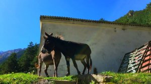 Баксанский район | Кабардино-Балкарская Республика | Russia