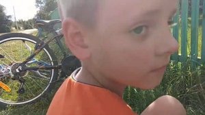 Мы нашли котёнка на улице