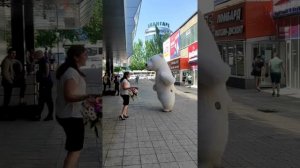 Забавный момент с шарами Поздравление от белого медведя #приколы#shorts