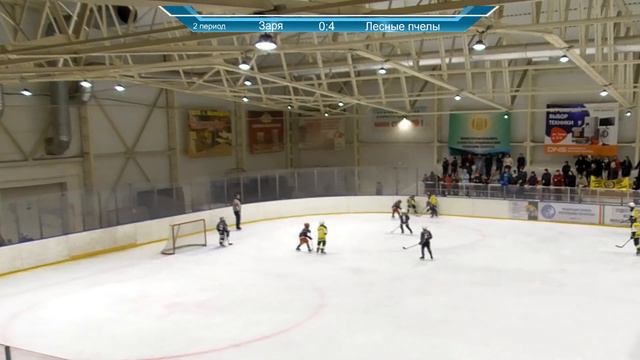 Заря (Ижевск) - Лесные пчелы (Елабуга). Турнир на призы ФХ РТ среди команд мальчиков 2012 г.р. смотреть онлайн