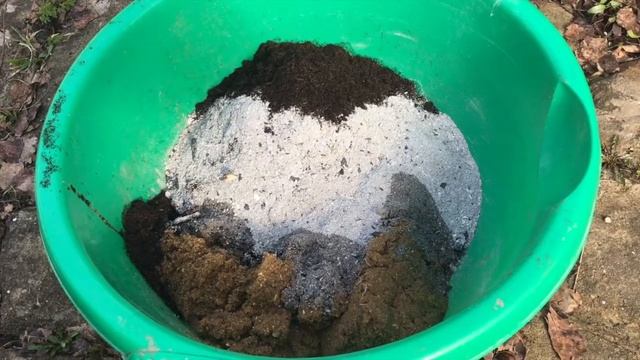 Лаванда.Первая зимовка. Ландшафтный дизайн. смотреть онлайн