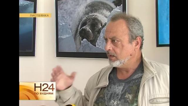 На нерпу предлагают разрешить охоту смотреть онлайн