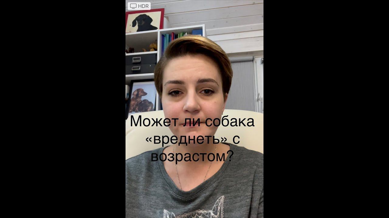 Может ли собака "вреднеть" с возрастом? смотреть онлайн