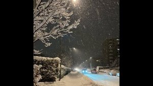 snowfall (sped)