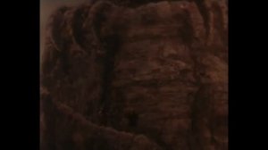 В поисках Олуэн (Looking for Oulen)