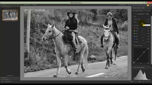 17 Silver Efex Pro 2 avec Photoshop смотреть онлайн