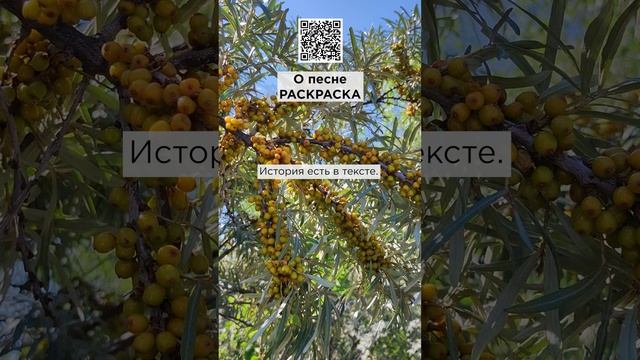 Голос раскрашивает интонациями эту песню. г. Новосибирск. #сказочныймир #морскаясказка #раскраска