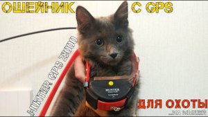 HUNTER GPS 25000 с Aliexpress - ошейник с приемником GPS для отслеживания собаки на охоте.