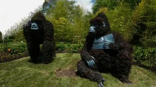 топиарное искусство смотреть онлайн