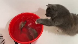 Зимняя рыбалка