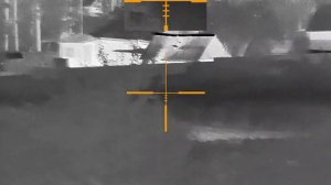 guide TR620 воробьи с дистанции около 90-100 метров