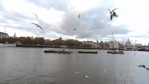 Плюсы и минусы жизни в Лондоне. Жизнь в Лондоне. Как живут люди в Лондоне? Переезжаете в Лондон?