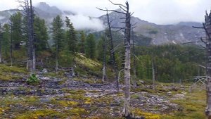 Восточный Саян. Пешеходный поход 3 к.с. Турклуб Сварог