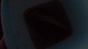 РЫБАЛКА. ОХОТСКОЕ МОРЕ. ЯДОВИТЫЕ ПАУКИ. KONTRAST SHOW #4.