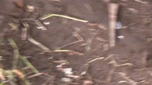 Преимущество DD катушки перед Моно