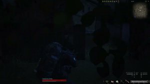 Наши новые друзья