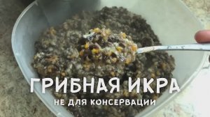 ГРИБНАЯ ИКРА из лесных грибов