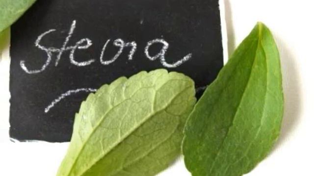 Health benefits of the natural sweetener stevia leaves смотреть онлайн