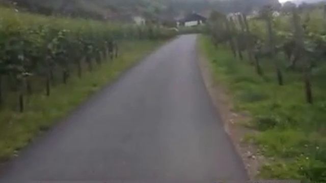 Велодорожки Германии смотреть онлайн