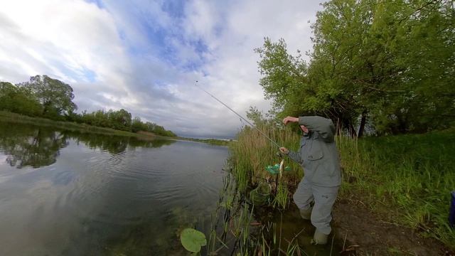 Ловля плотвы на течении !!!