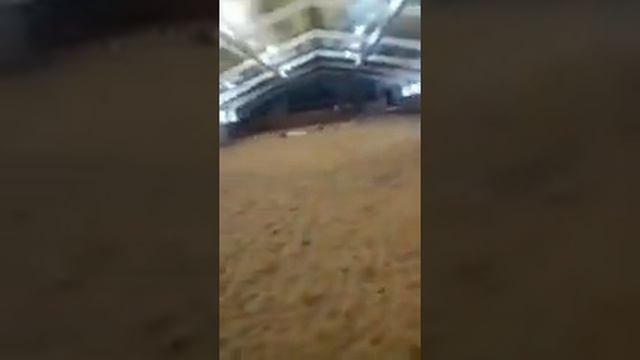 Ура мое первое видео, мои прыжки/60 см 70 см смотреть онлайн