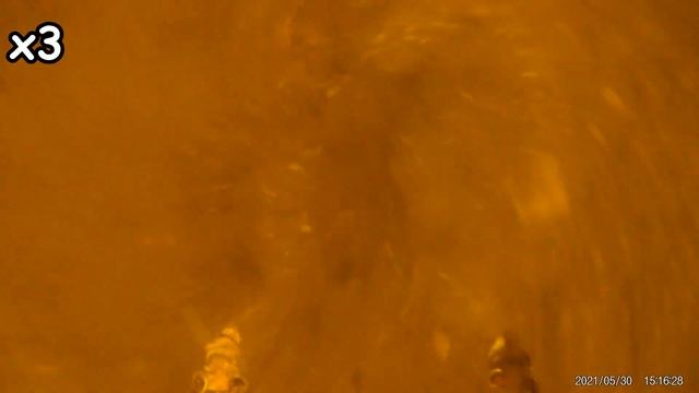 Реакция рыбы на ? ШОКОЛАД и КАКАО! Подводная съемка рыбалки. Лещ, карась, плотва.