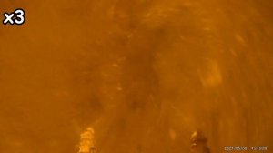 Реакция рыбы на ? ШОКОЛАД и КАКАО! Подводная съемка рыбалки. Лещ, карась, плотва.